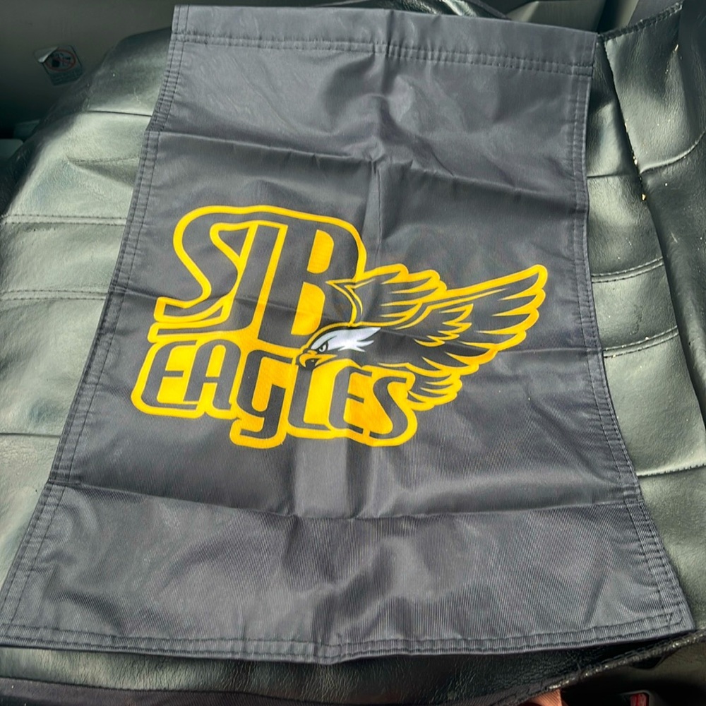 Philadelphia Eagles flag birds